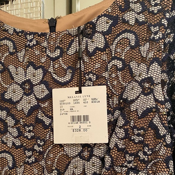 Melanie Lyne lace dress with dust cover - Picture 6 of 9